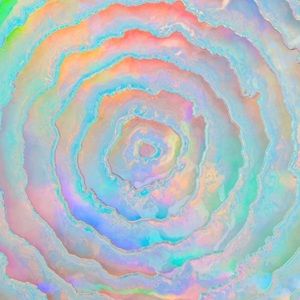 Meet your Posher, Ella